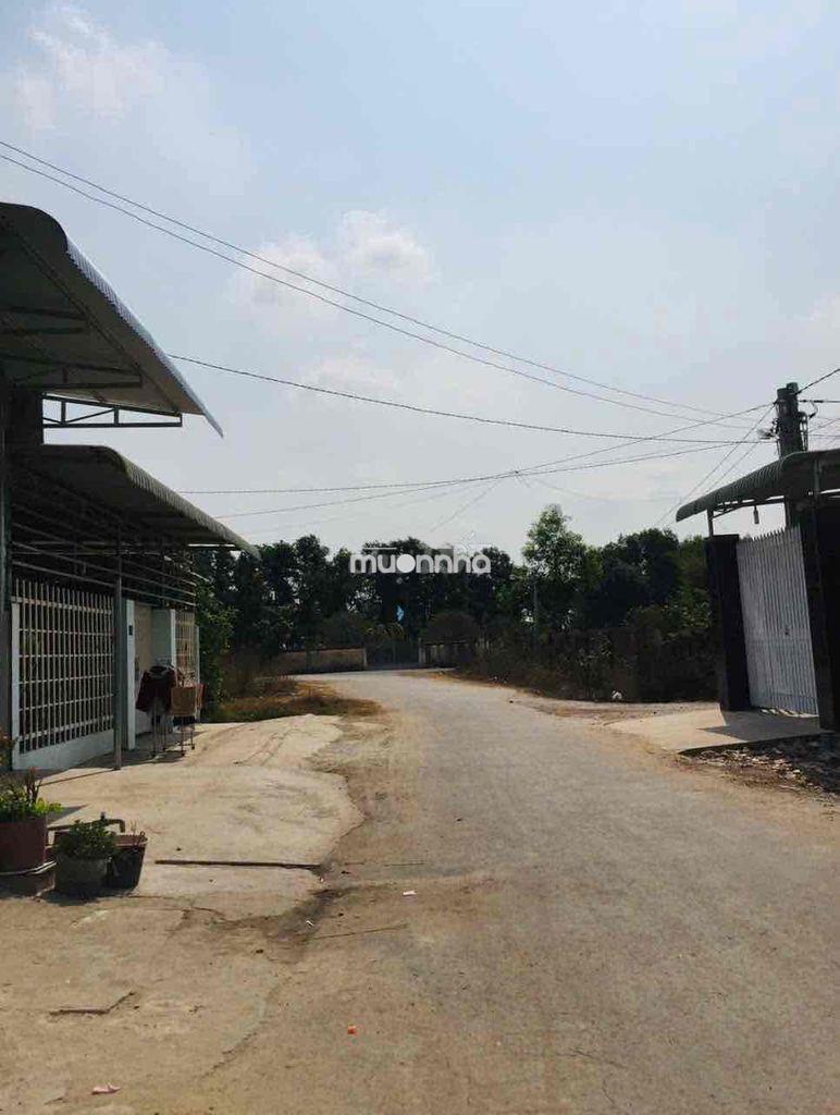 Đất trục chính 80 trần phú, kế trường học, chỉ 165 triệu 1 mét - 3