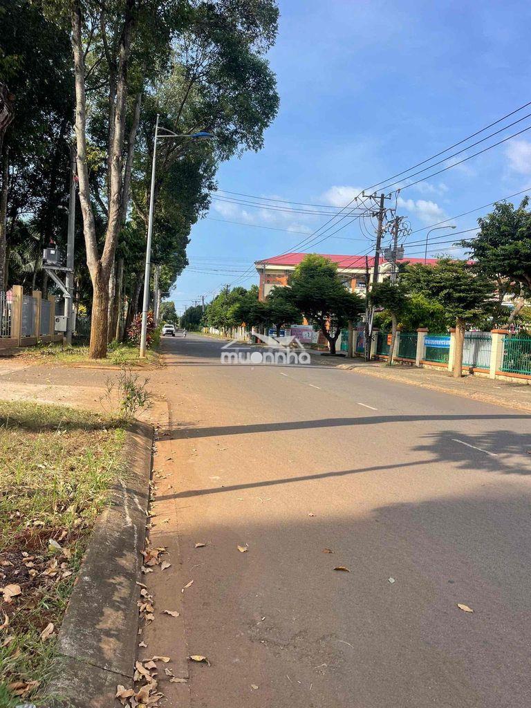 Chủ kẹt cần bán gấp 1 vườn nghỉ dưỡng 📐 12x35, sổ riêng full thổ cư - 4