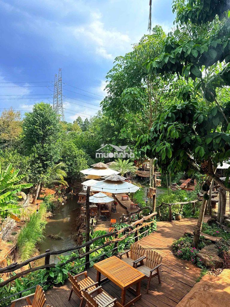 Bán nhà vườn long khánh - tp.đồng nai - 4