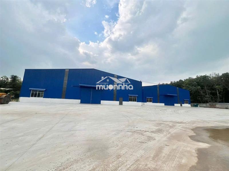 XƯỞNG CHO THUÊ  4600M2 BẾN CÁT , PCCC TỰ ĐỘNG ,GIẤY TỜ ĐẦY ĐỦ , S.X24H