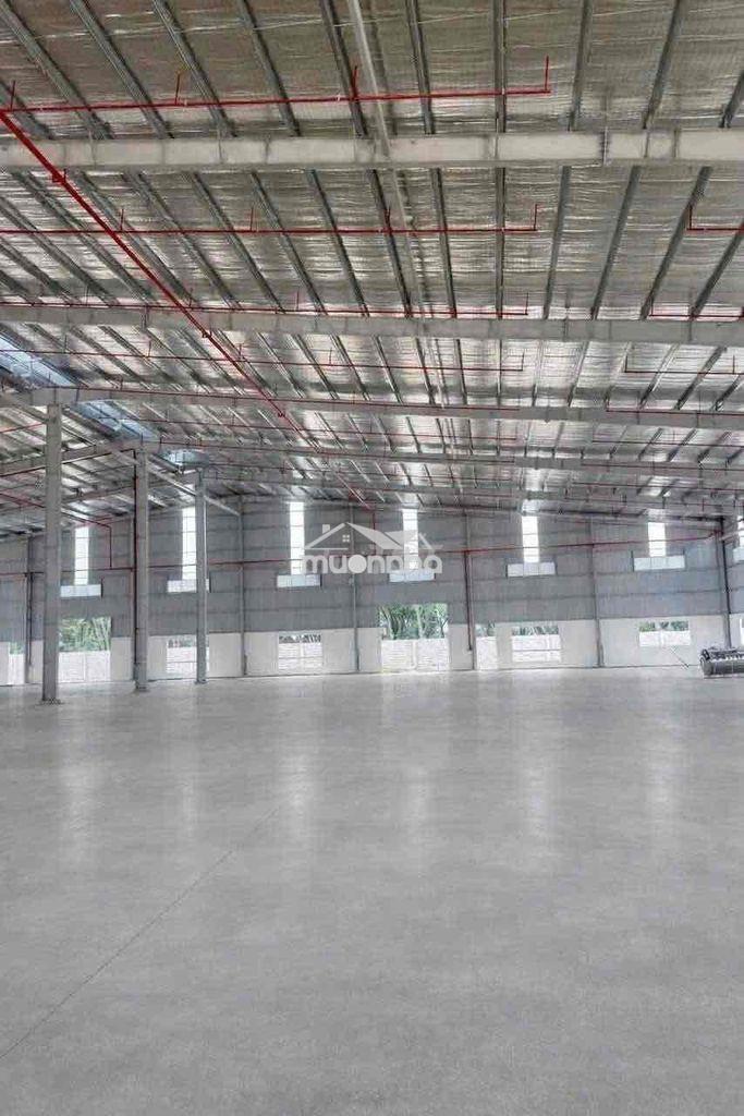 Kho logistics dĩ an bình dương cho thuê - 4