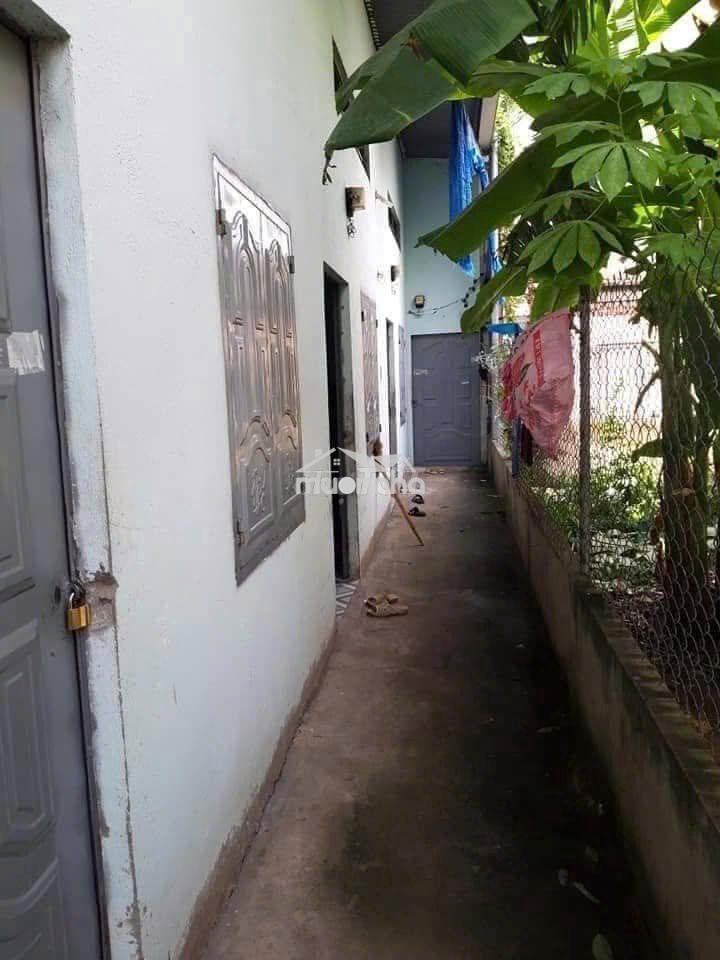Bán gấp 5 phòng trọ, ngay kcn tây bắc củ chi, 125m2, 950 triệu. shr - 3