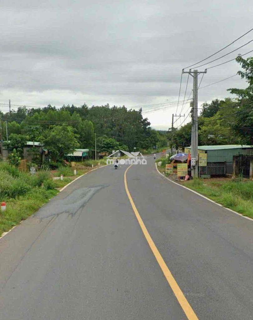 Bán đất biệt thự 2000m2 - 2