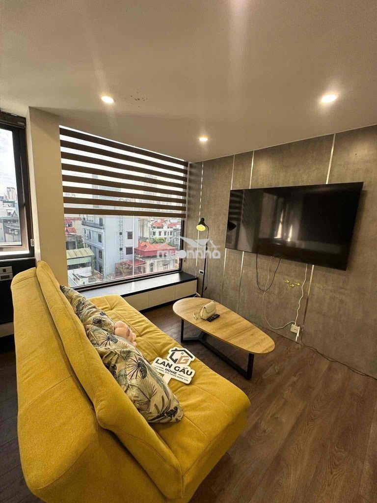 Cho thuê căn hộ studio rộng 50m2 gần lotte, himlam quận 7 - 3