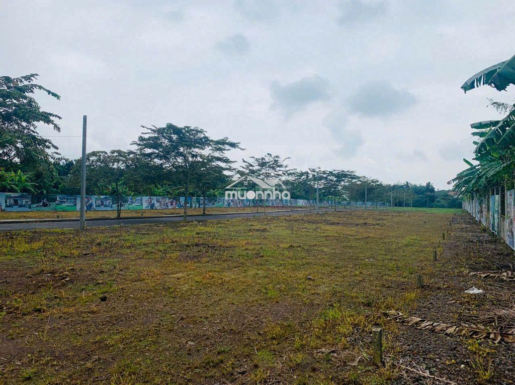 Top 1! siêu phẩm đồng nai, view siêu đẹp, giá khỏi bàn, đầu tư là lãi - 3