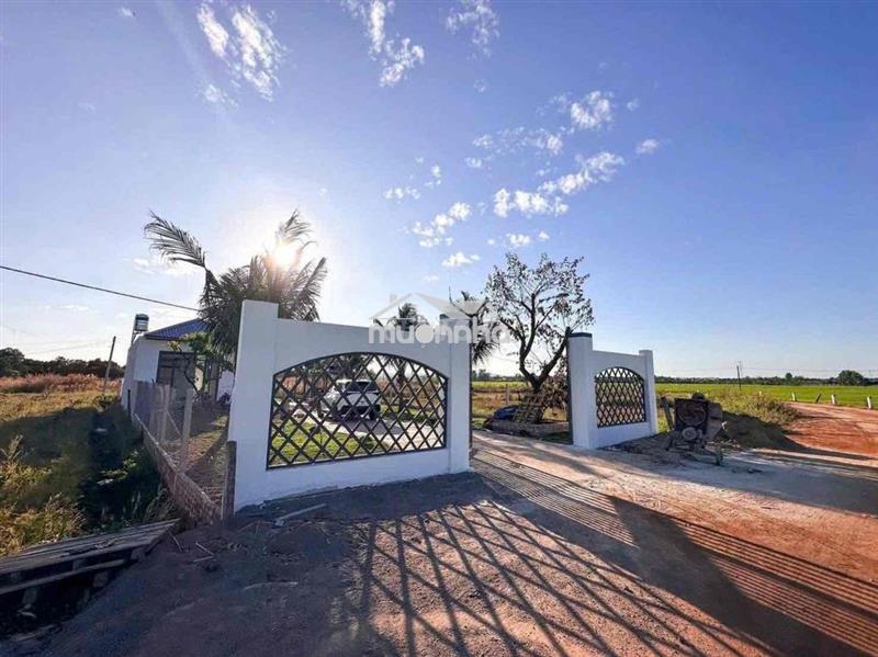 Nhà vườn nghỉ dưỡng 500m2 tại phường bảo vinh long