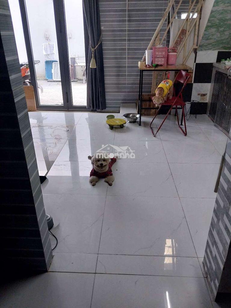 Sổ riêng nhà đẹp gần mặt tiền lớn 6x8,1 lầu 3pn, 2wc trên dưới lầu 