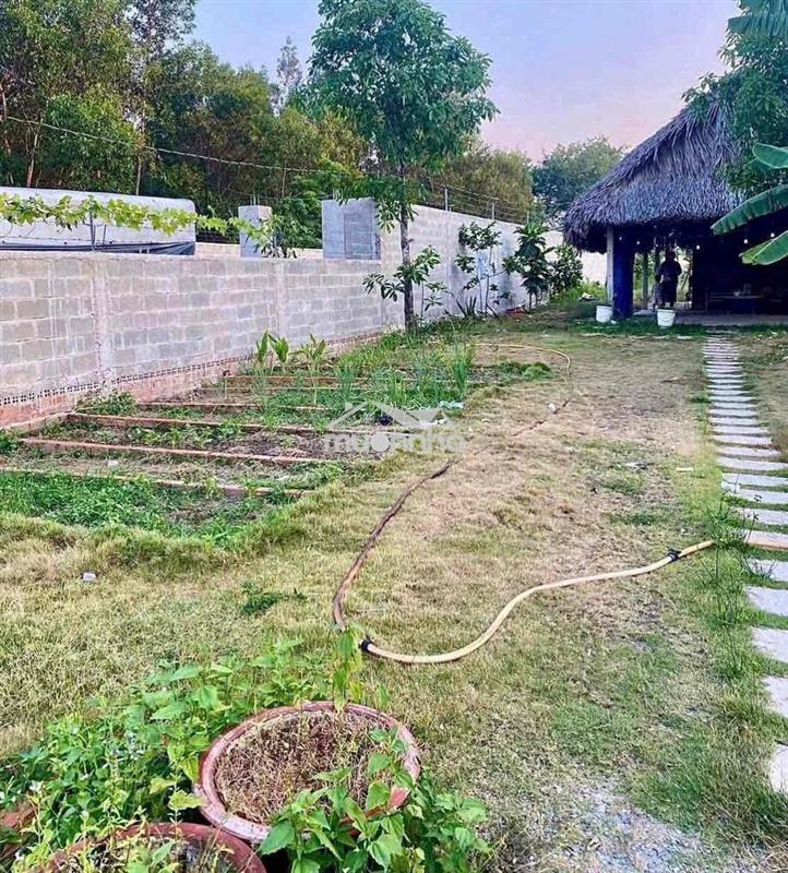 Bán gấp