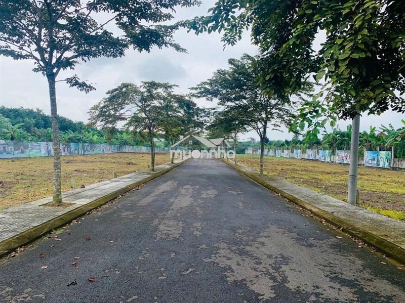 Top 1! siêu phẩm đồng nai, view siêu đẹp, giá khỏi bàn, đầu tư là lãi