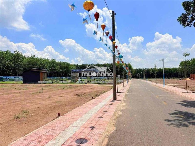 Bán gấp miếng đất