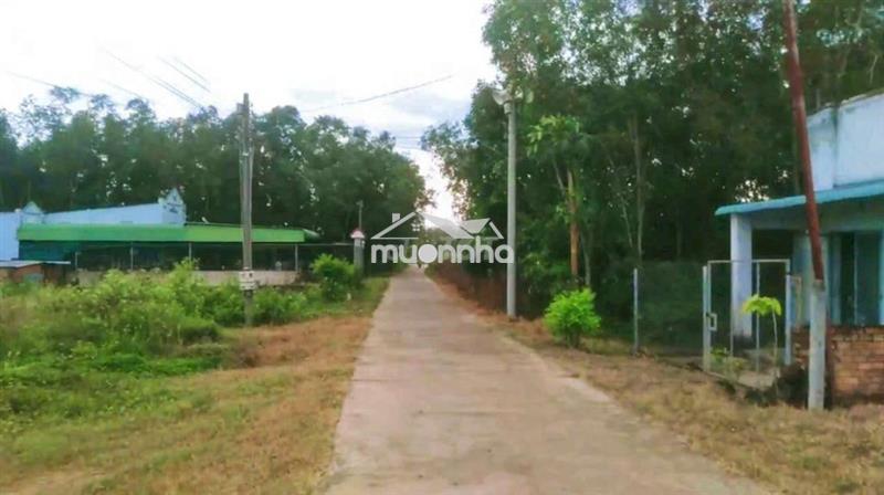 Bán 1233m2 đất thổ cư - mặt tiền bê tông !