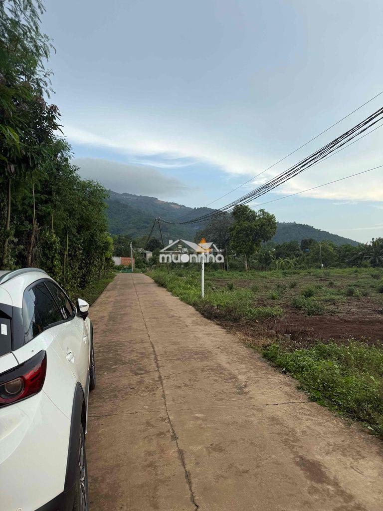Kẹt tiền bán gấp 236m2 ngang 7m dài 34m, đồng nai, view núi chứa chan - 3