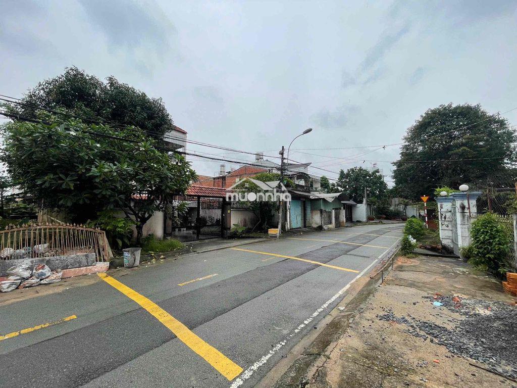 Đất 5x33m, shr, mt đg tân hiệp 8-1 cách dương công khi 50m - 2