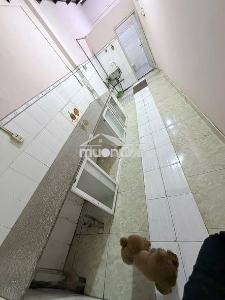 Cho thuê nhà nguyên căn nguyễn văn nghi gò vấp 50m² , 7.5tr/th - 3
