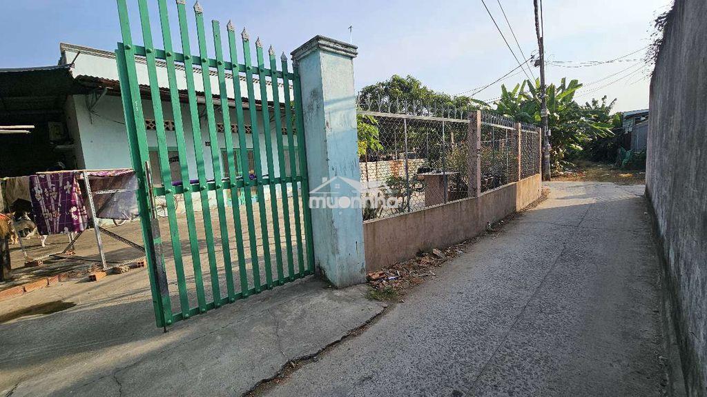 Cần bán gấp nhà cấp 4 dt 426m² gần trường học bệnh viện chợ tân túc - 4