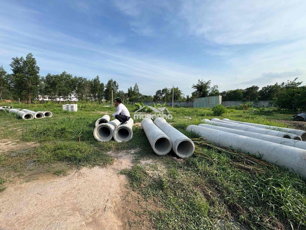 Giá đầu tư gia đoạn 1, ngay lavender giá cực tốt - 4