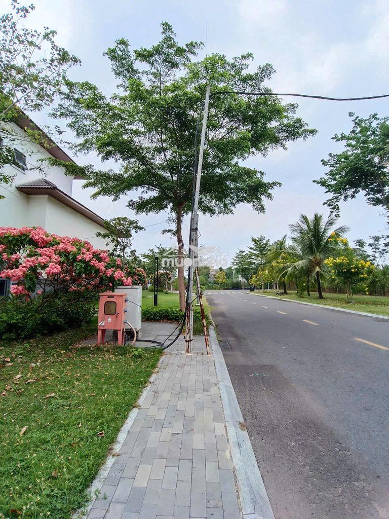 🌿 Chính chủ bán nhà phố ashita - căn góc đã có sổ -ngay trường mầm non - 4