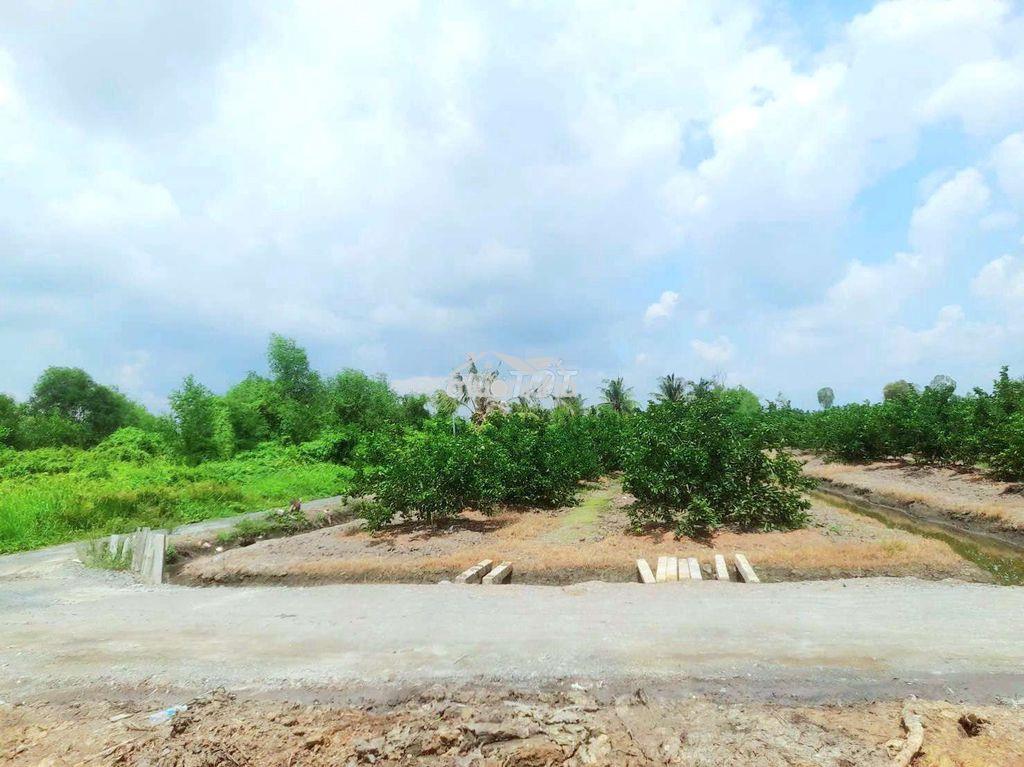 Chỉ 375tr sở hữu 540m2 đất vườn mai, chanh view kênh - 3