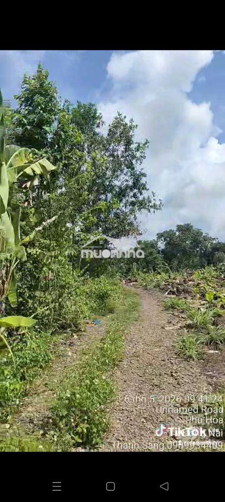 Bán 2.028m2 đất, phú hoà.tp đồng nai.1 tỷ 4 - 2