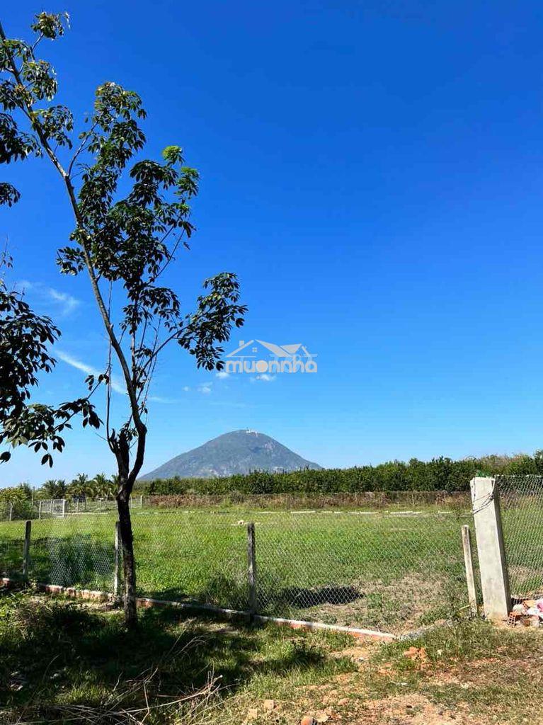 Bán 2700m2 đất sổ riêng tại tp tây ninh - 2