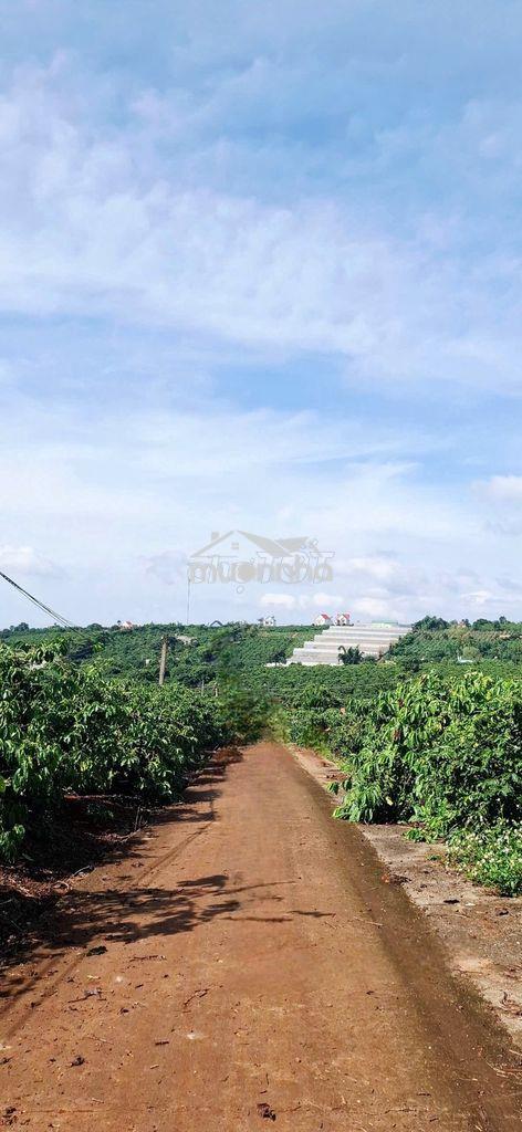 Mình chính chủ muốn bán lô đất ở xã mê linh có sẵn 200m2 thổ cư