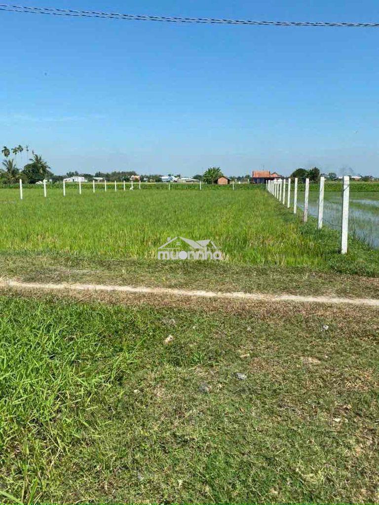 Bán 1000 m2 đất tiện làm nhà vườn sát hcm - 3