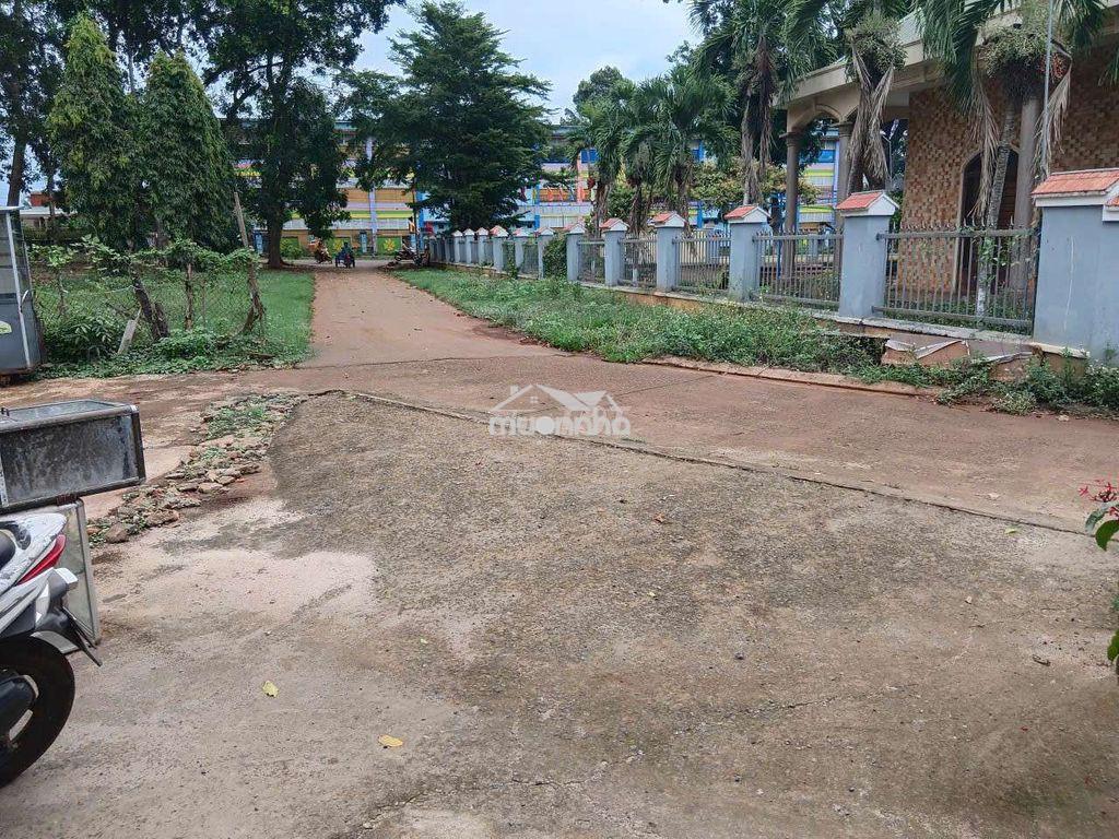 Bán nhà vườn nghỉ dưỡng 445.6m² – nhà đẹp, 100m² thổ cư - 4