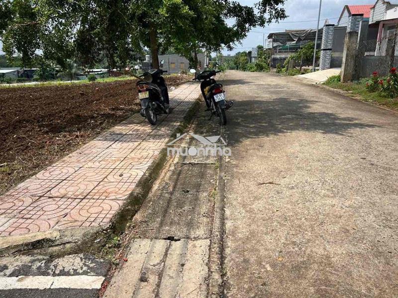 Bán gấp
