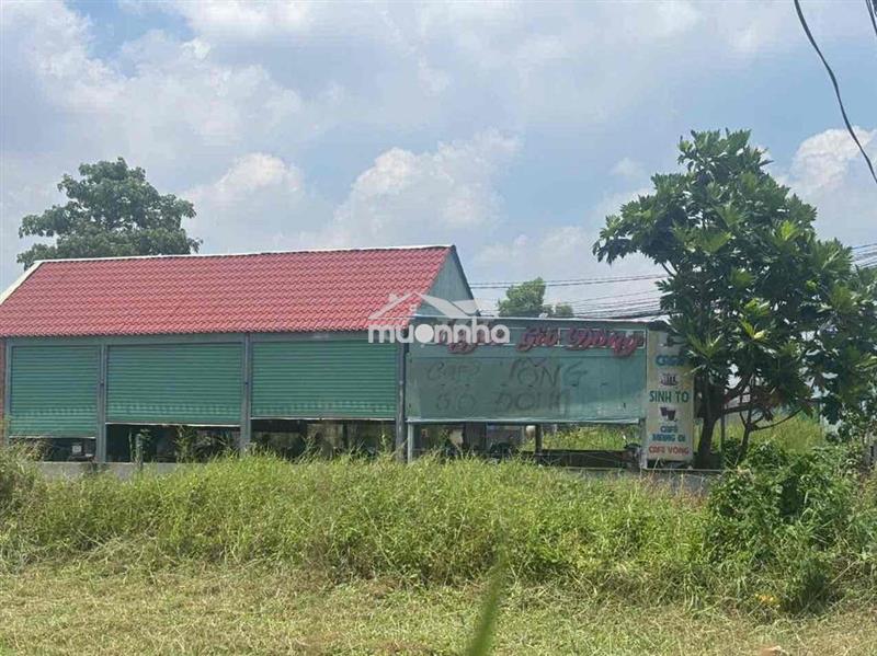 Tôi cần bán gấp lô đất đẹp không tì vết