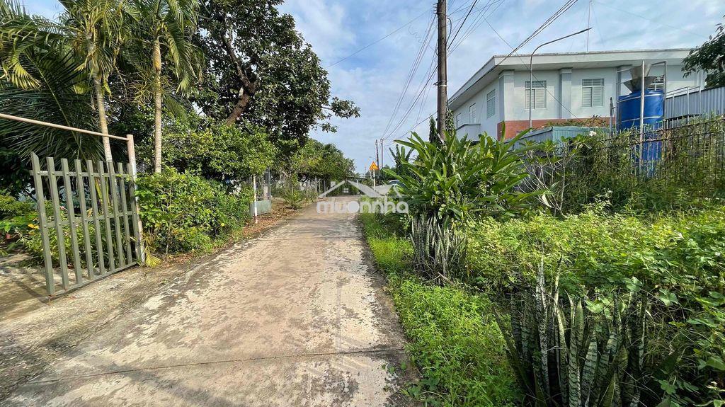 Bán đất hiếu liêm , cách hồ trị an 1km - 3