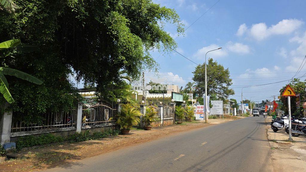 Đất đẹp đầu giây- gia kiệm, giá mềm , phù hợp ở & kinh doanh - 4