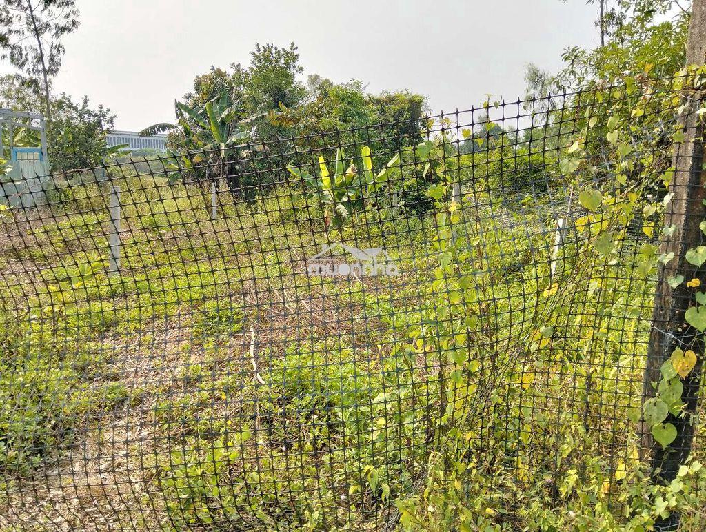 Lô đất quy chủ 220m2 k 129 vũ lăng. đà nẵng - 2