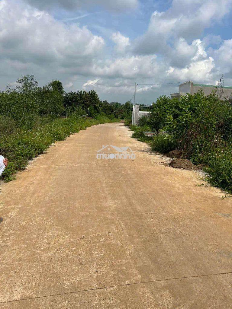 Bán gấp đất thổ cư đường bê tông đủ tiện ích pvi 500m - 2