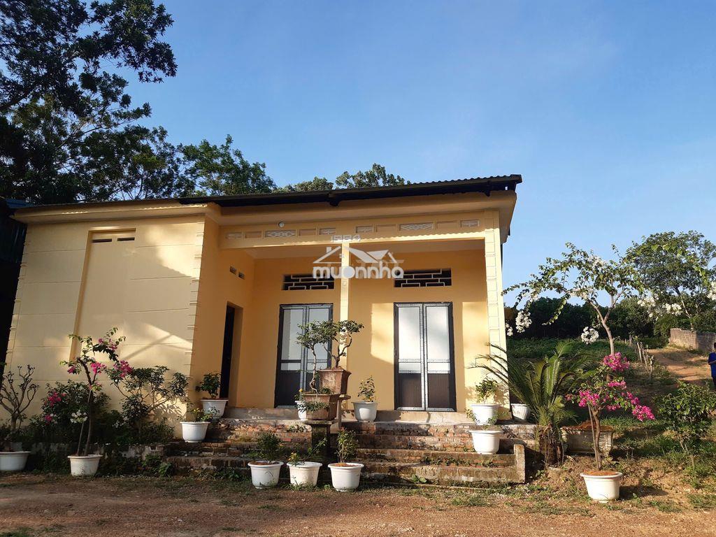 Cần bán nhà vườn 2193m² chính chủ - ba vì, hà nội - 3
