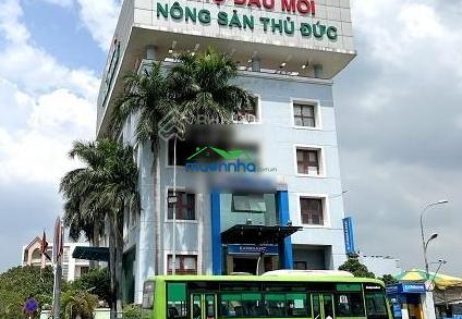 Bán nhà 4 tầng đường 8m có vỉa hè rộng xe hơi tránh tô ngọc vân tam bình thủ đức 81m kề vành đai 2 - 3