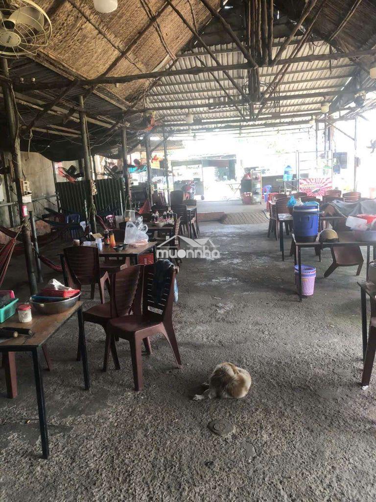 Cần sang mặt bằng gấp đó có việc nhà về quê - 2