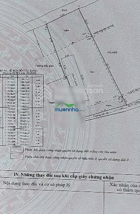 Bán nhà vườn nghỉ dưỡng hưng long, bình chánh 485m2 - 2