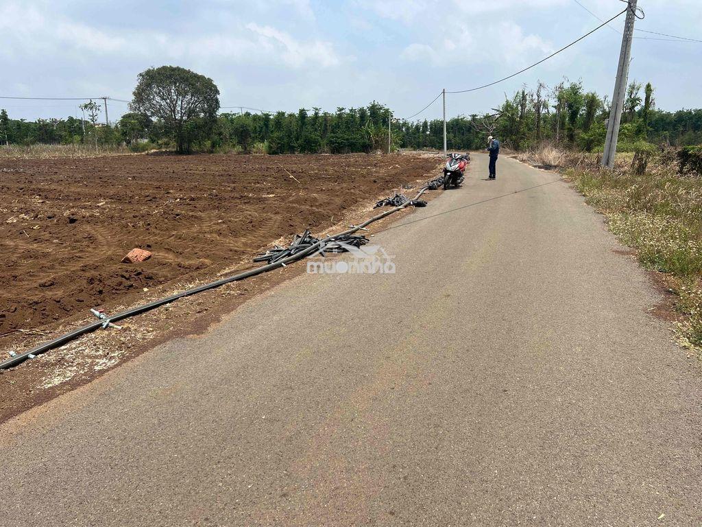Bán đất mặt tiền đường gần vòng xoay ngã 6 . giá rẽ . - 3