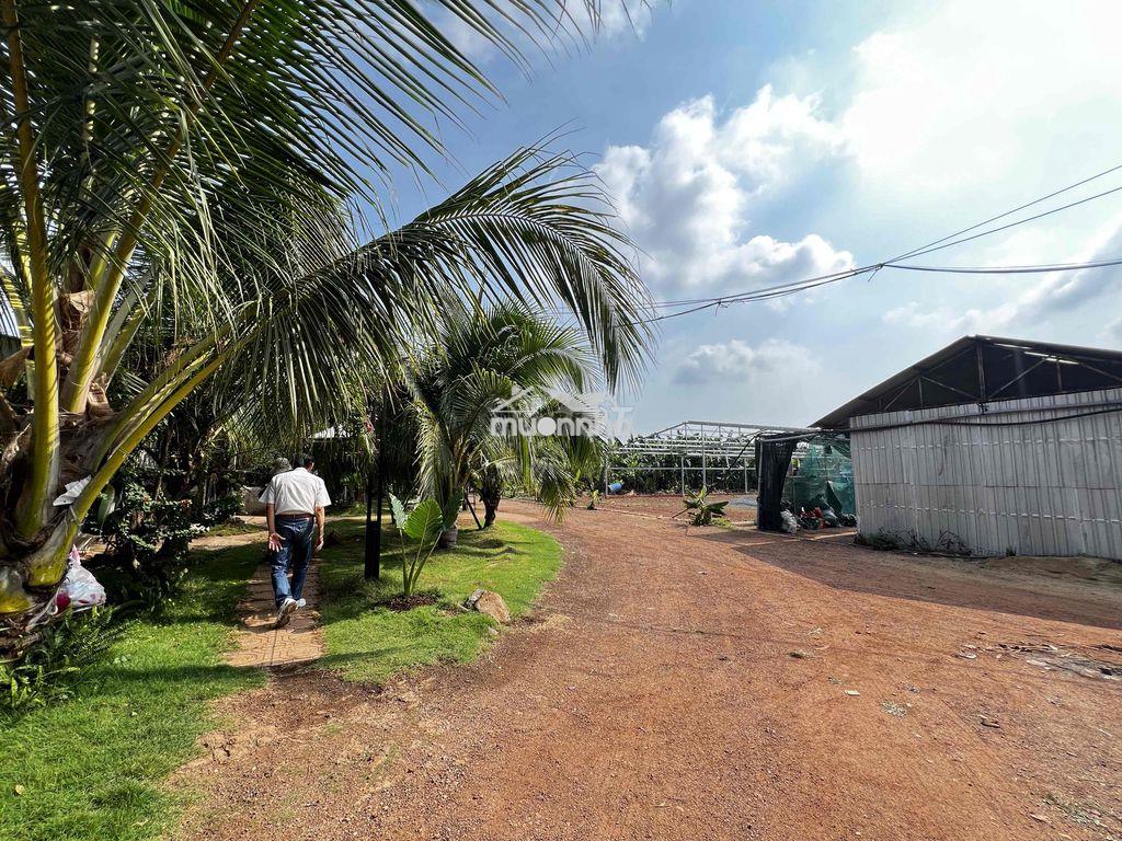 Cc bán đất trại gà - thanh bình - trảng bom , đồng nai - 2