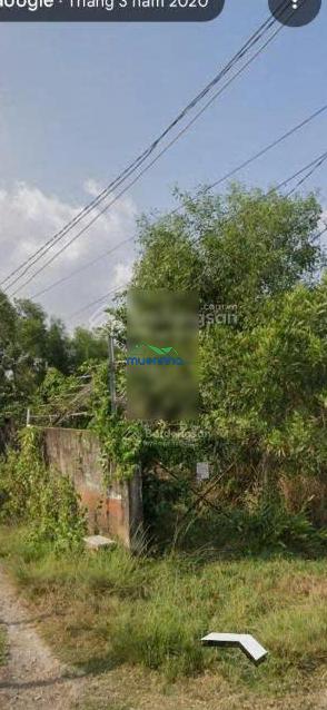 Đất 2mt 19.5x51 = 1000m2, nằm trên bán đảo mini, cách ngã 3 long phước chỉ 200m. 20.5 tỷ tlm