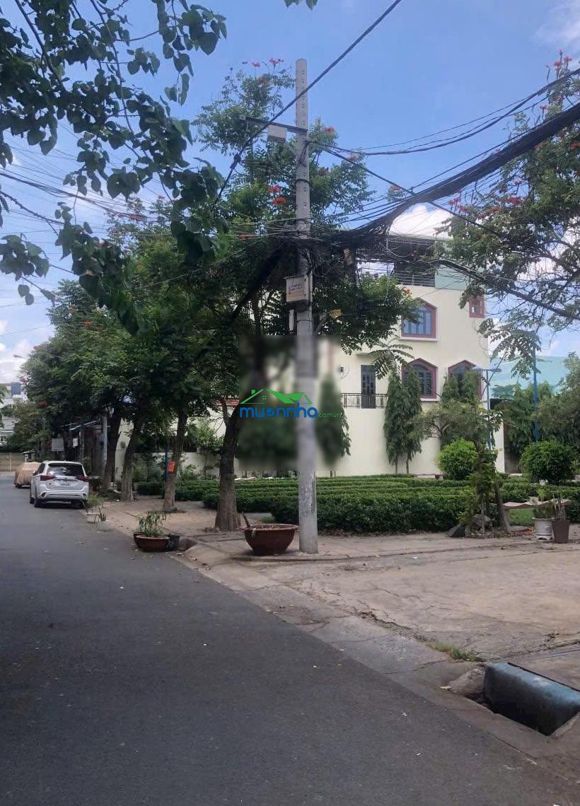 Hẻm 14m tân quý - p. phú thọ hòa, 9,3x24,5m, cấp 4, giá 26,5 tỷ tl - 2