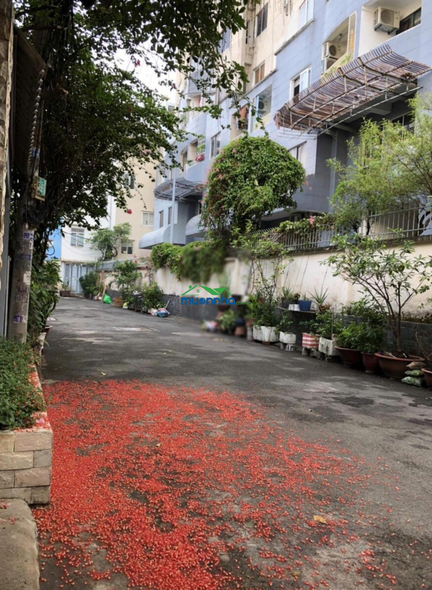 Bán nhà hẻm xe hơi vip 80 đường đặng văn ngữ, phú nhuận, dt 8x24m, 3 tầng đúc, giá 36 tỷ tl - 2