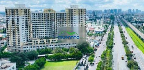 Nhà kế hoa lư quang trung coopmart ngã 4 thủ đức 4.85 tỷ hẻm oto còn sót sát công viên trường mới - 2