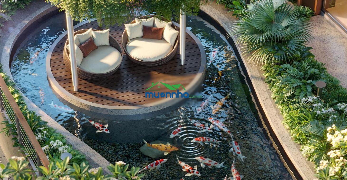 Monrei saigon 10 căn ngoại giao, thanh toán 15% hỗ trợ trả góp 24 tháng, ân hạn gốc 5 năm