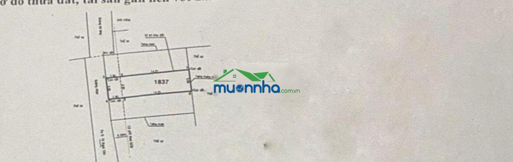 Ngôi nhà của bạn trách nhiệm của tôi bán nhà giảm mạnh 400tr giá mới nhất 9.1 tỷ tl - 2