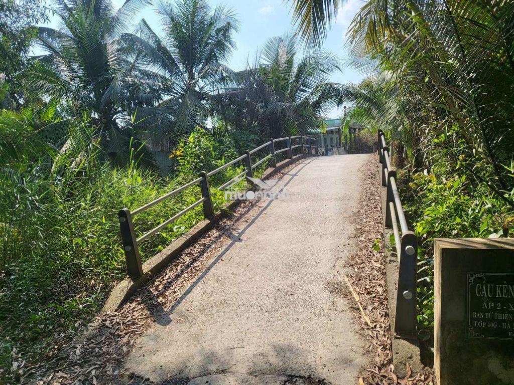 Bán đất bến lức - 4