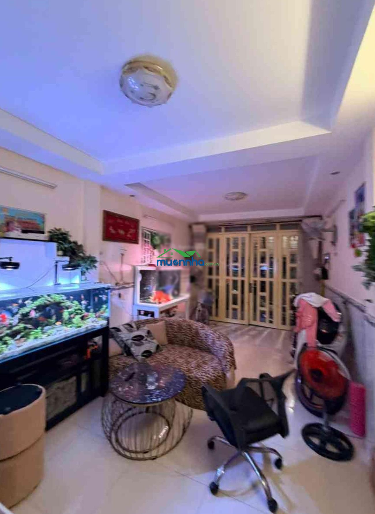 Hot, bán gấp nhà riêng âu cơ tân phú, 42m2, 2 tầng, hẻm 3.5m gần mặt tiền, chỉ nhỉnh 4 tỷ. - 4