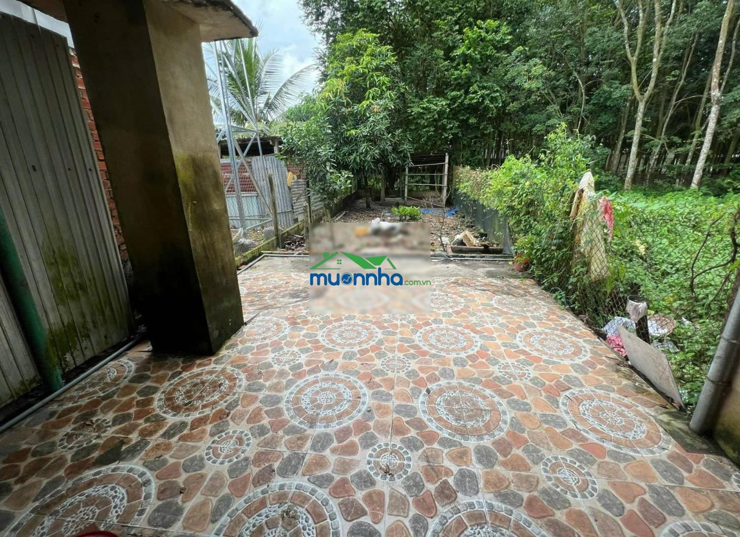 Ngộp! bán nhà tại suối lội gần thpt tân thông hội, dt 5x30 150m2, 980 triệu, sổ riêng - 4