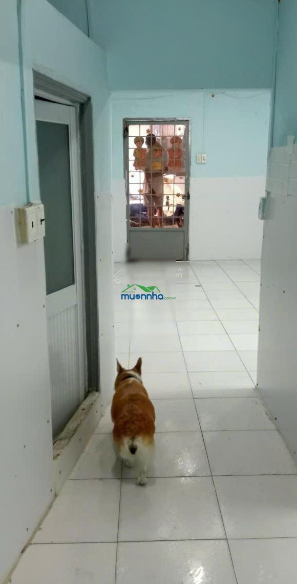 Cần bán nhà 60 m2 chính chủ tại đường nguyễn thị thập, p. tân thuận, quận 7, tp. hồ chí minh