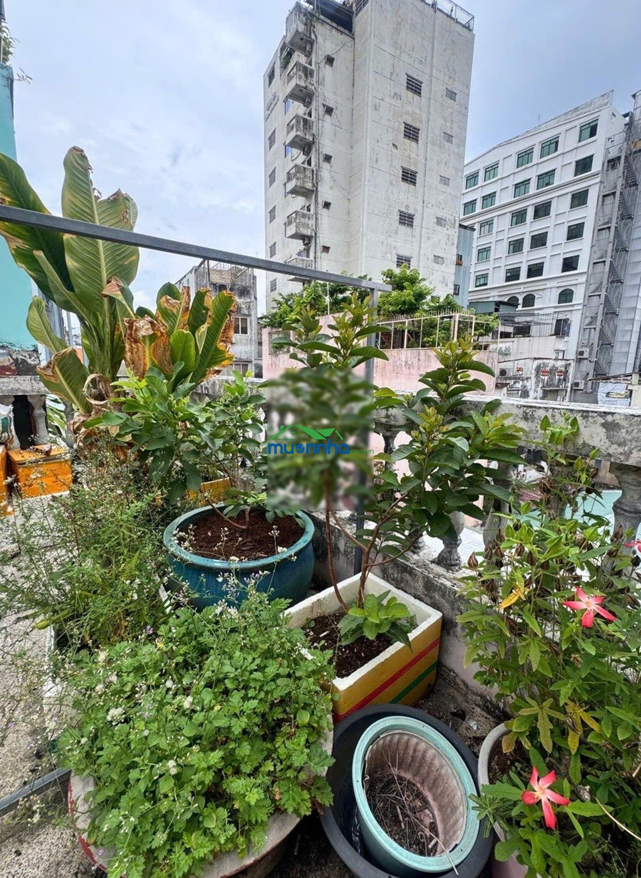 Nhà chính chủ lâu đời sát mặt tiền nguyễn trãi 49m2 - ngang 4.7m - nở hậu - sẵn dòng tiền - 9 tỷ - 3